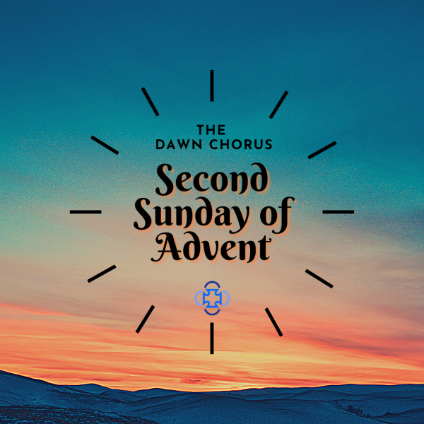 ​Second Sunday of Advent: Welcome New Members