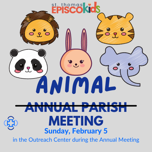 ​Animal Meeting