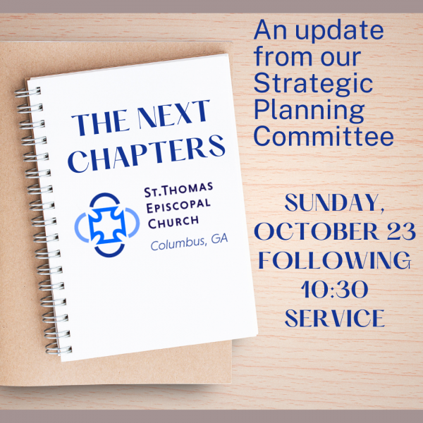 The Next Chapters: An update from our Strategic Planning Committee