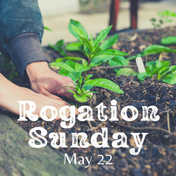 ​Rogation Sunday 